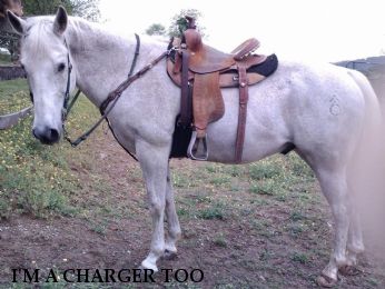 I'M A CHARGER TOO